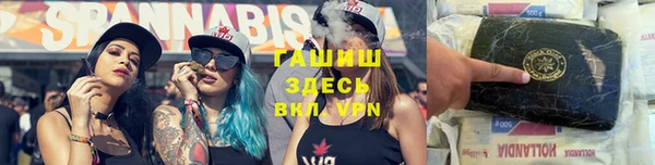 шишки Наволоки